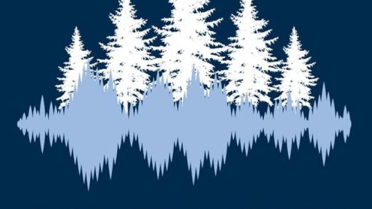 Logo for the points north podcast produced by Interlochen Public Radio