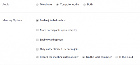 Screen shot of Zoom settings.